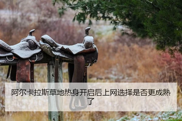 a-er-ka-la-si-cao-di-re-shen-kai-qi-hou-shang-wang-xuan-ze-shi-fou-geng-cheng-shu-le-2-545.jpg