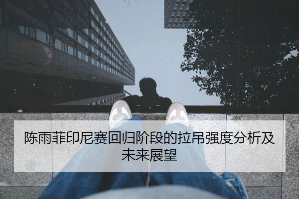 陈雨菲印尼赛回归阶段的拉吊强度分析及未来展望