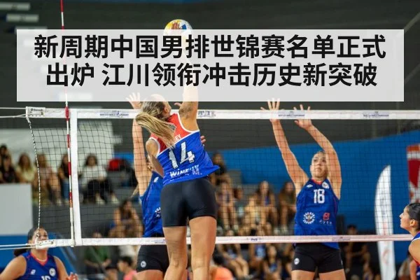 volleyball spike action