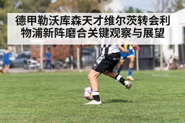 德甲勒沃库森天才维尔茨转会利物浦新阵磨合关键观察与展望